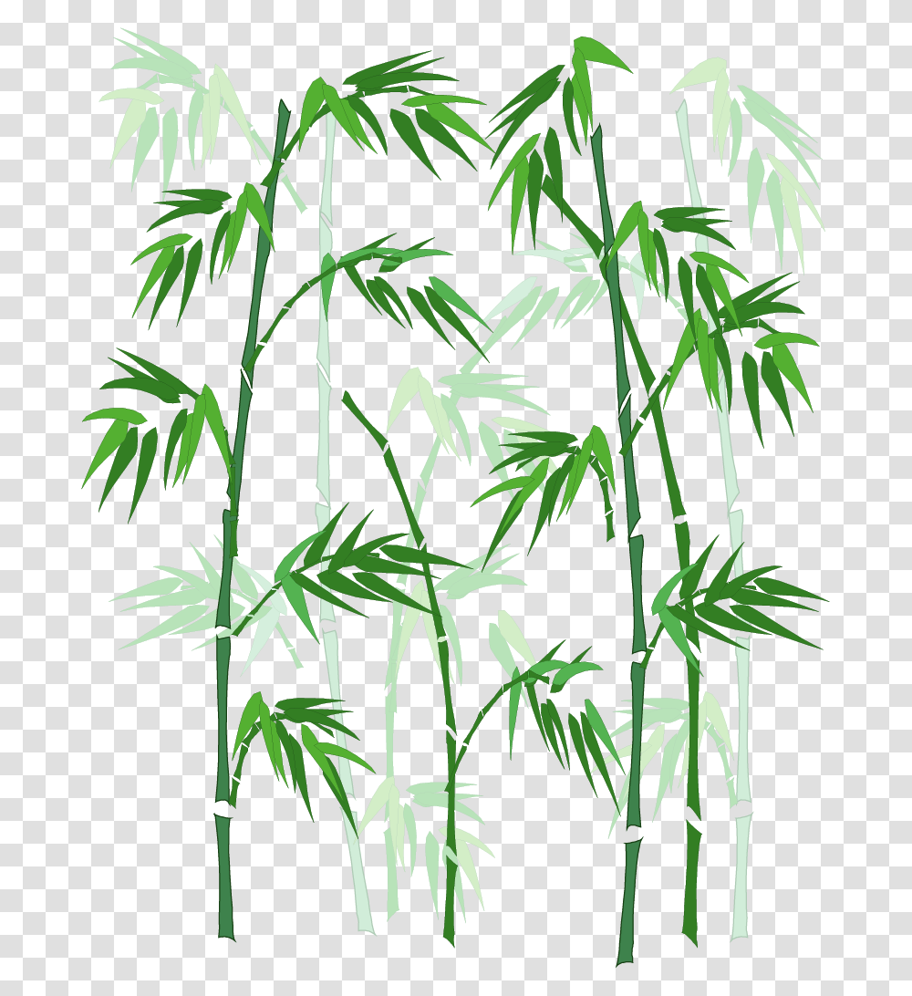 Vector Hand Painted Bamboo Download Bamboo In Window Glass, Plant Transparent Png