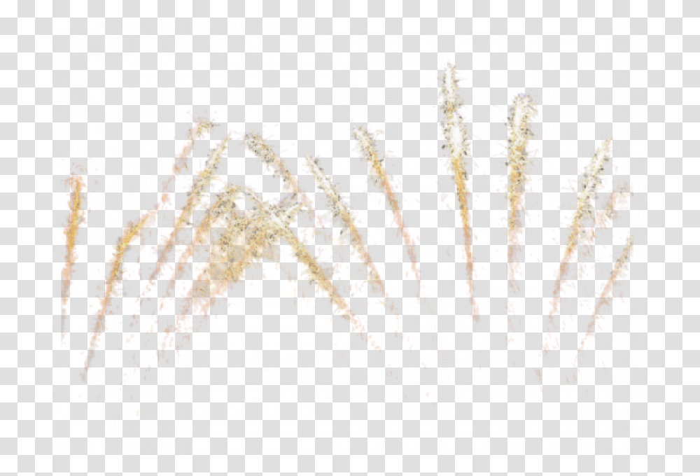 Vector Hd Portable Network Graphics, Nature, Outdoors, Plant, Fireworks Transparent Png