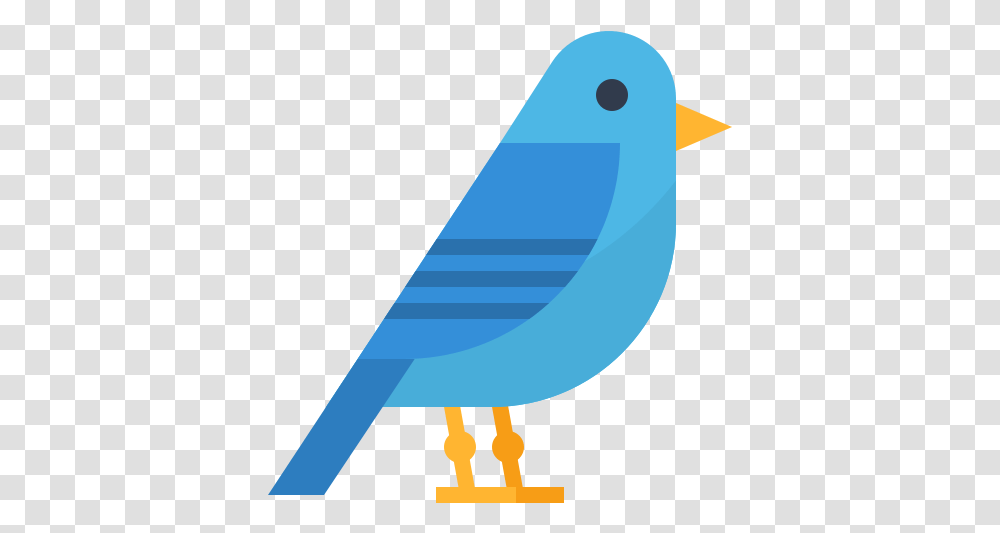 Vector Icon Design Bird Flaticon, Bluebird, Animal, Jay, Blue Jay Transparent Png