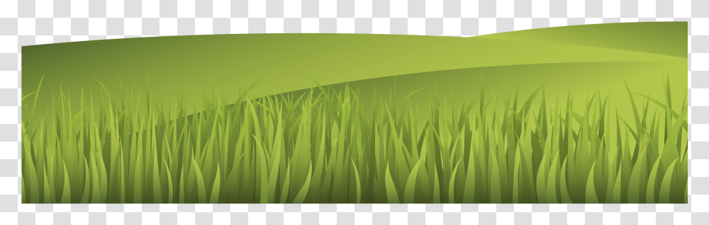 Vector Illustration Grass Landscape Paddy Field, Green, Plant, Vegetation Transparent Png