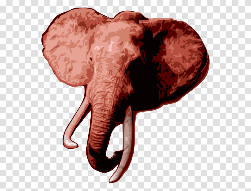 Vector Illustration Of African Elephant Head With Tusks Indian Elephant, Animal, Plant, Wildlife, Mammal Transparent Png