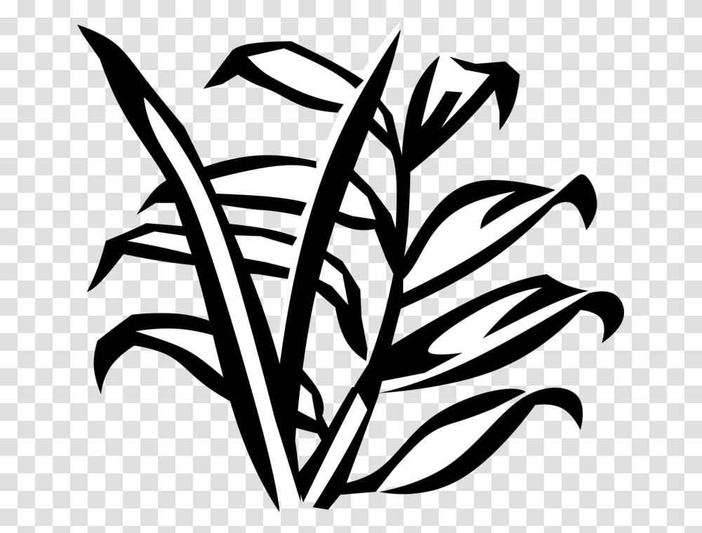 Vector Illustration Of Arecaceae Palm Tree Botanical, Plant, Leaf, Stencil Transparent Png