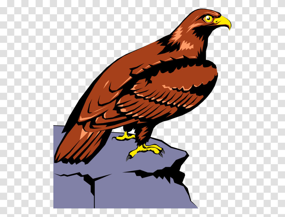 Vector Illustration Of Bird Of Prey Raptor Eagle Perched Aquila Clipart, Animal, Bald Eagle, Kite Bird, Hawk Transparent Png