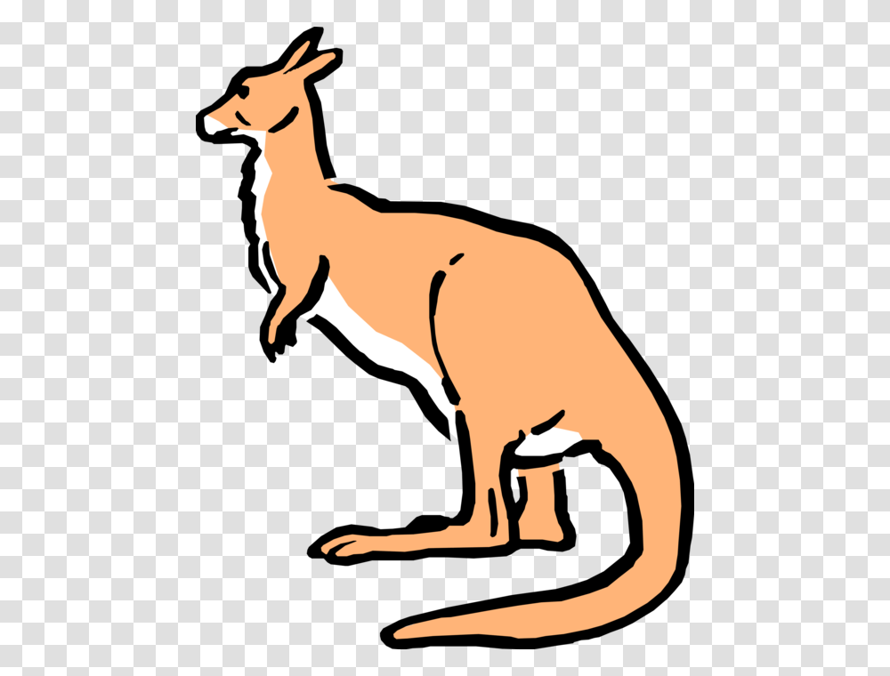 Vector Illustration Of Cartoon Australian Marsupial Cartoon Australian Kangaroo, Mammal, Animal, Wallaby, Antelope Transparent Png