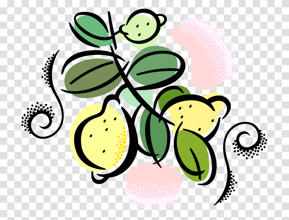 Vector Illustration Of Citrus Fruit Lemons Growing, Plant, Drawing Transparent Png
