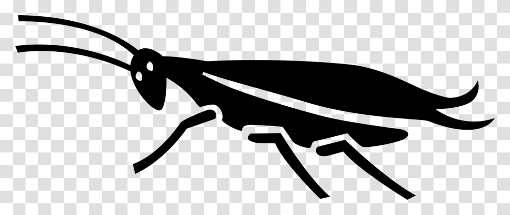 Vector Illustration Of Cockroach Insect With Long Antennae Net Winged Insects, Gray, World Of Warcraft Transparent Png