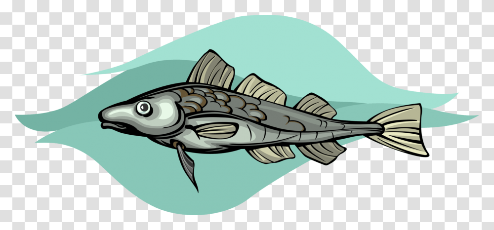 Vector Illustration Of Cod Demersal Marine Fish Billfish, Animal, Shark, Sea Life Transparent Png