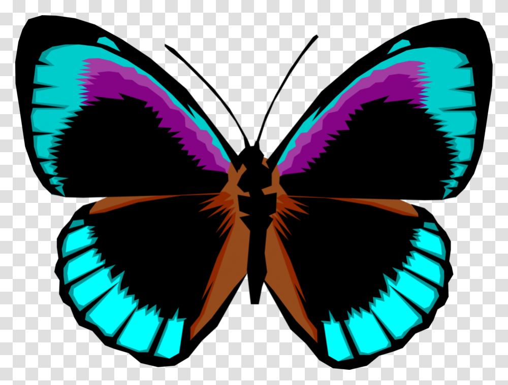 Vector Illustration Of Colorful Black And Blue Butterfly, Ornament, Pattern, Bird, Animal Transparent Png