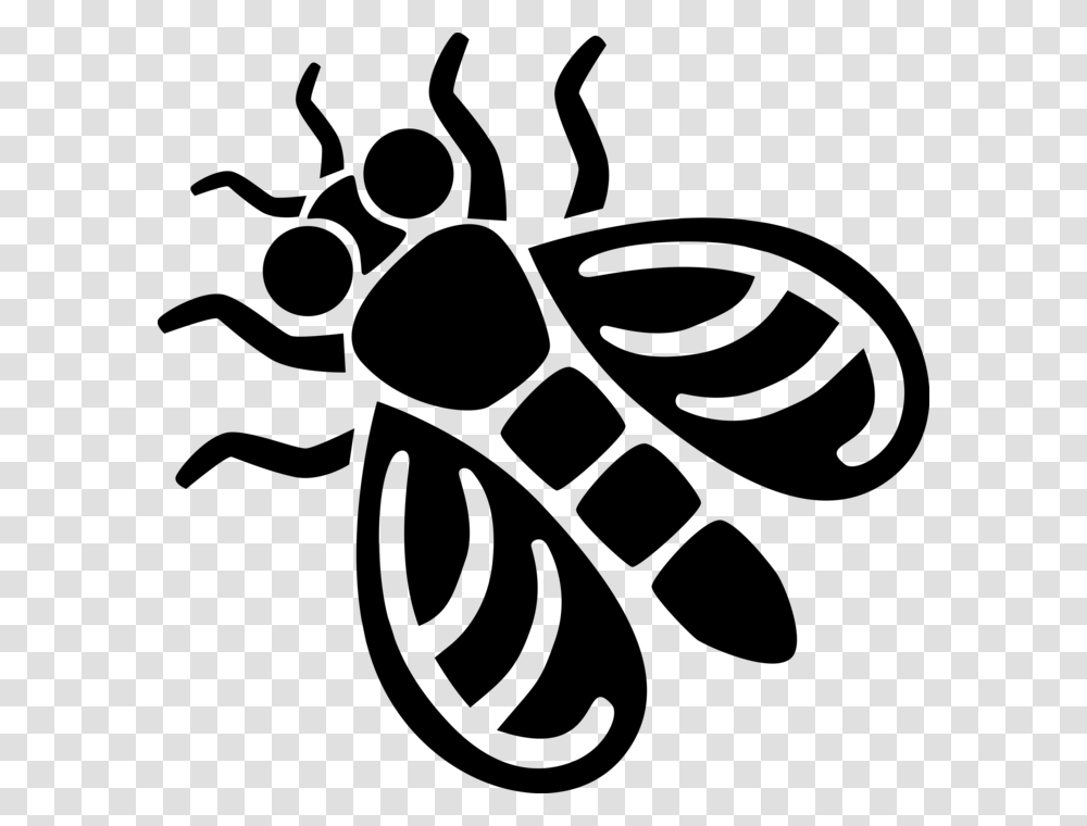 Vector Illustration Of Common Housefly Insect Fly Song, Gray, World Of Warcraft Transparent Png