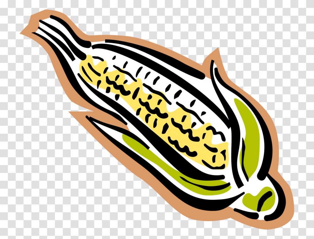 Vector Illustration Of Corn On The Cob Grain Plant Maize, Vegetable, Food, Banana, Fruit Transparent Png