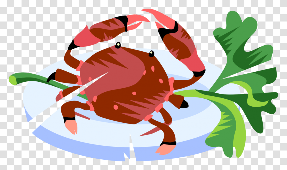 Vector Illustration Of Decapod Marine Crustacean Crab, Food, Seafood, Sea Life, Animal Transparent Png