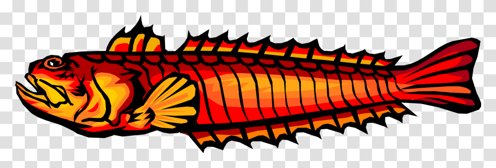 Vector Illustration Of Deep Sea Marine Aquatic Fish, Animal, Food, Hand Transparent Png