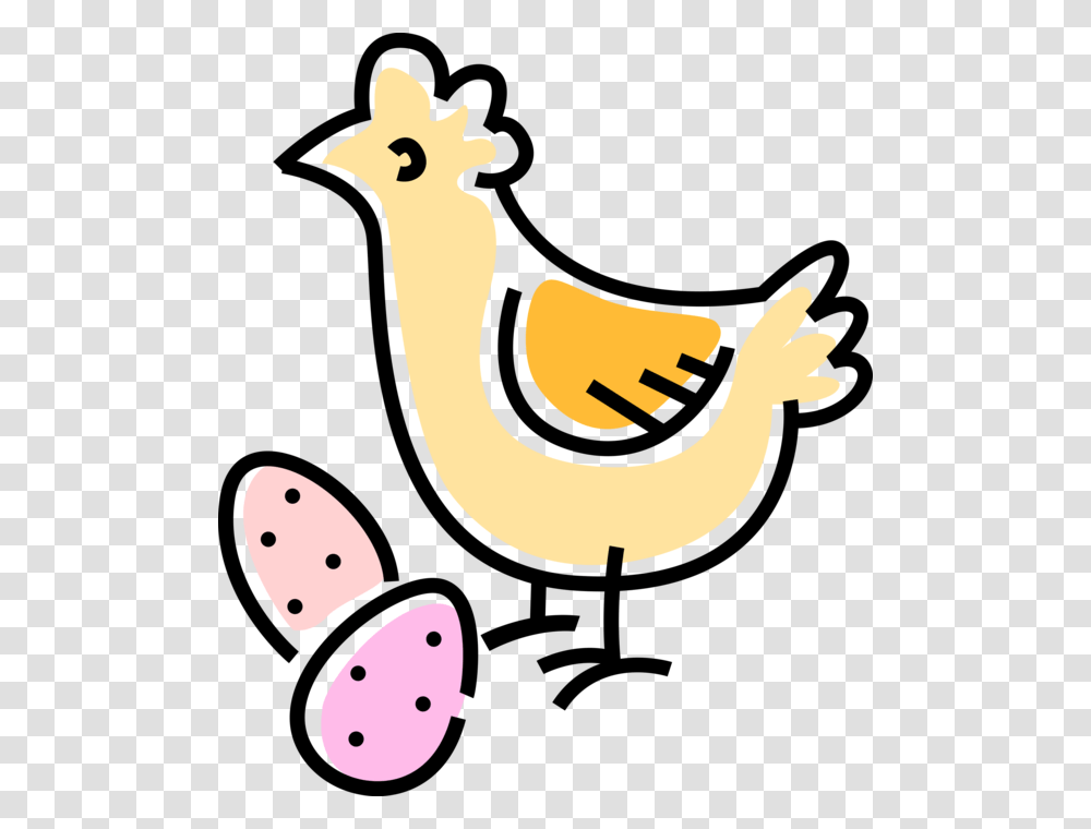 Vector Illustration Of Domesticated Fowl Chicken With, Animal, Mammal, Camel, Bird Transparent Png