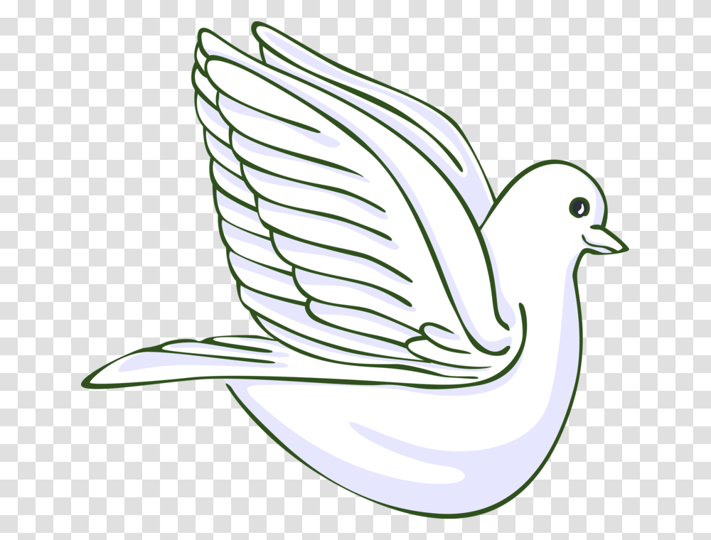 Vector Illustration Of Dove Bird Symbol Symbol Of Peace Still Life Photography, Animal, Pigeon, Drawing Transparent Png