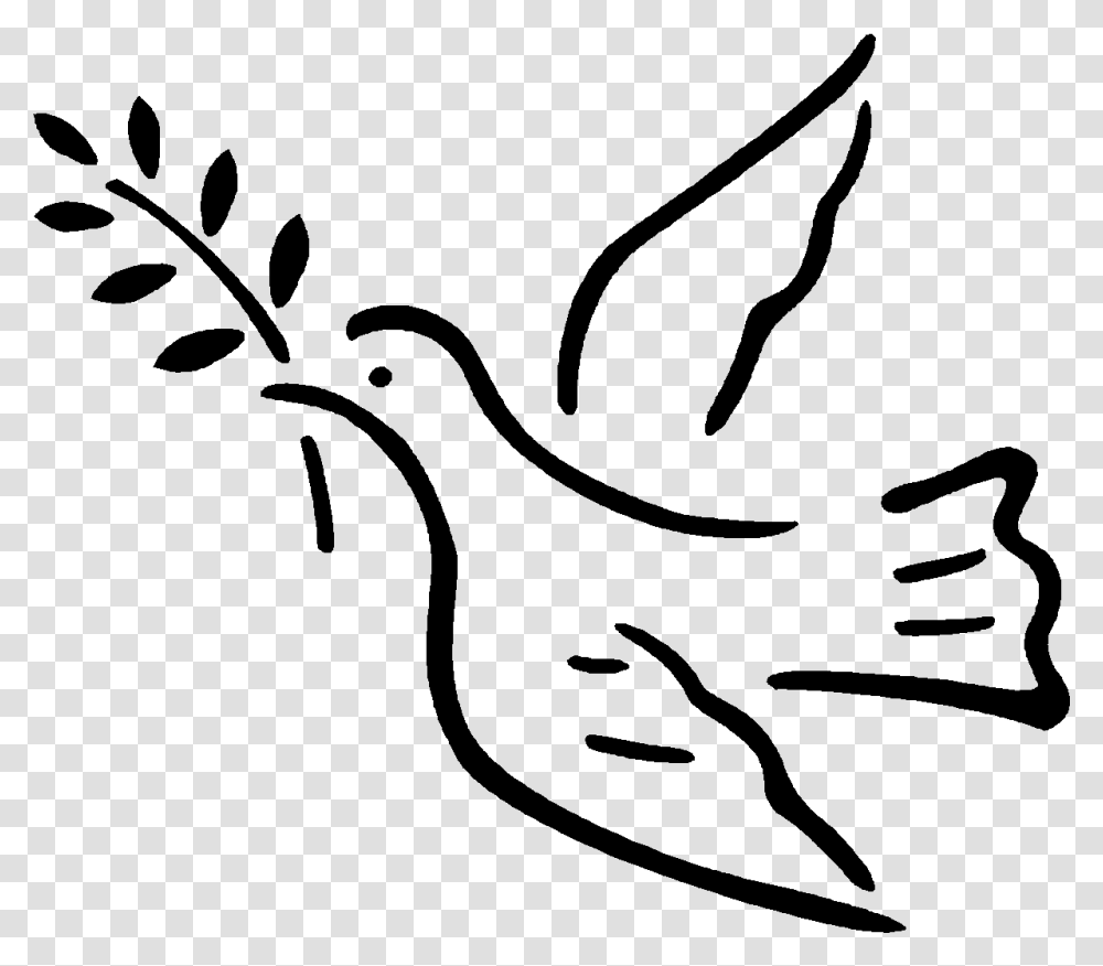 Vector Illustration Of Dove Bird With Olive Branch Dove Peace Vector, Gray Transparent Png