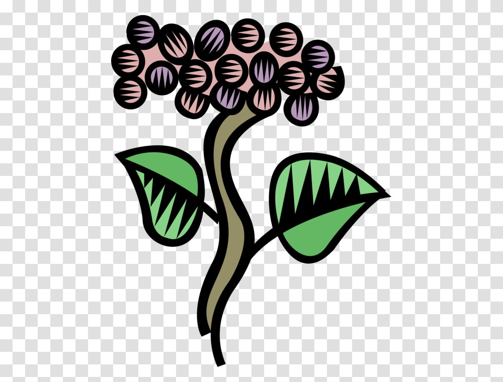 Vector Illustration Of Edible Grapevine Fruit Grapes, Floral Design, Pattern Transparent Png
