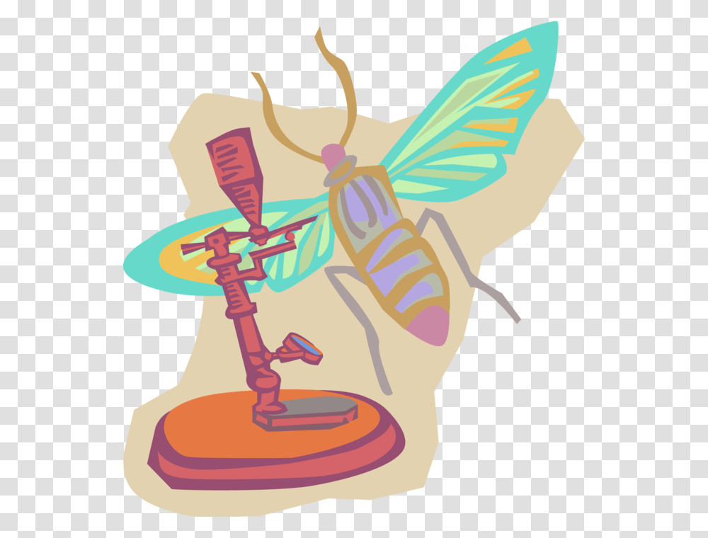 Vector Illustration Of Entomology Insect Research With, Invertebrate, Animal, Butterfly, Moth Transparent Png