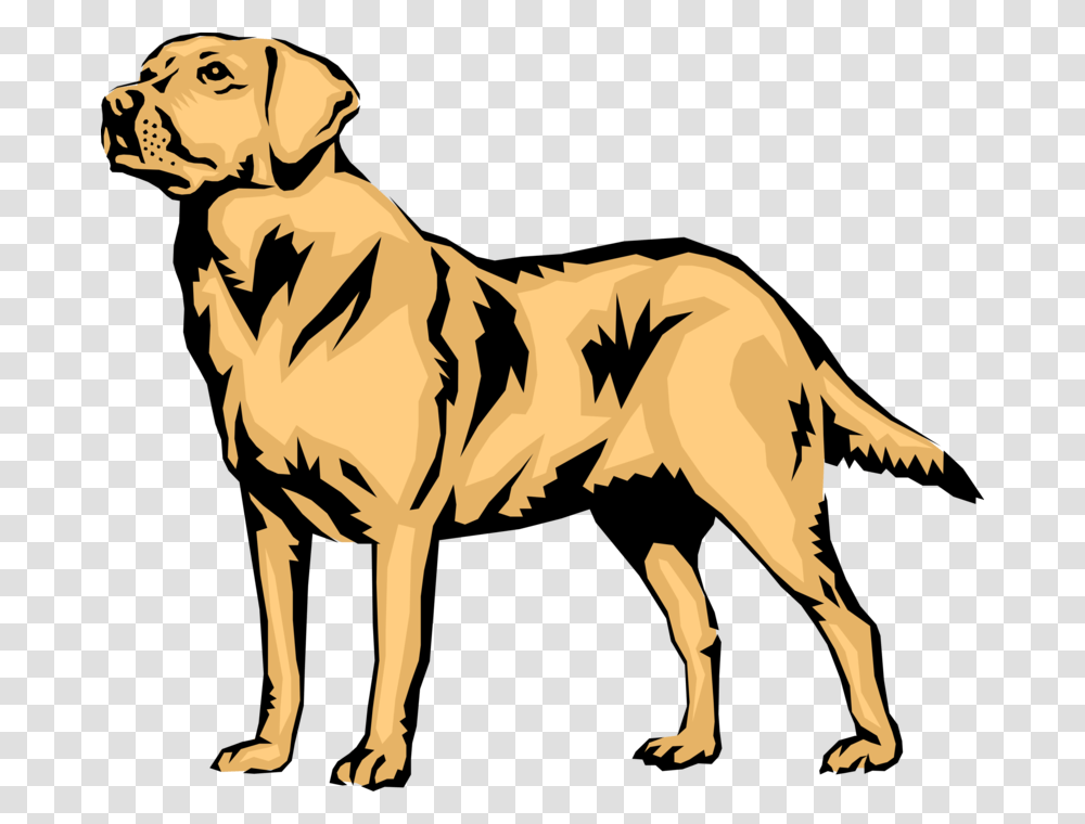 Vector Illustration Of Family Pet Golden Labrador Retriever Labrador Retriever Vector, Canine, Mammal, Animal, Dog Transparent Png