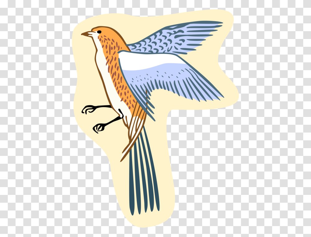Vector Illustration Of Feathered Bird Perching Bird, Animal, Flying Transparent Png