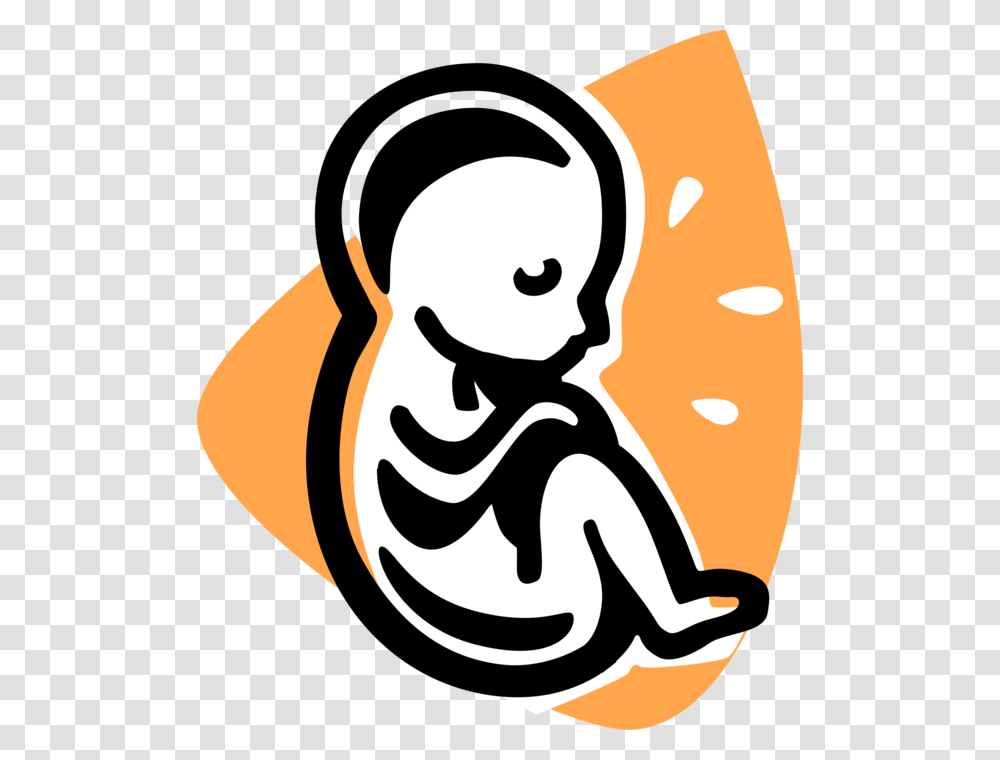Vector Illustration Of Fetus Prenatal Human Between Fetus Clipart, Label, Stencil, Outdoors Transparent Png