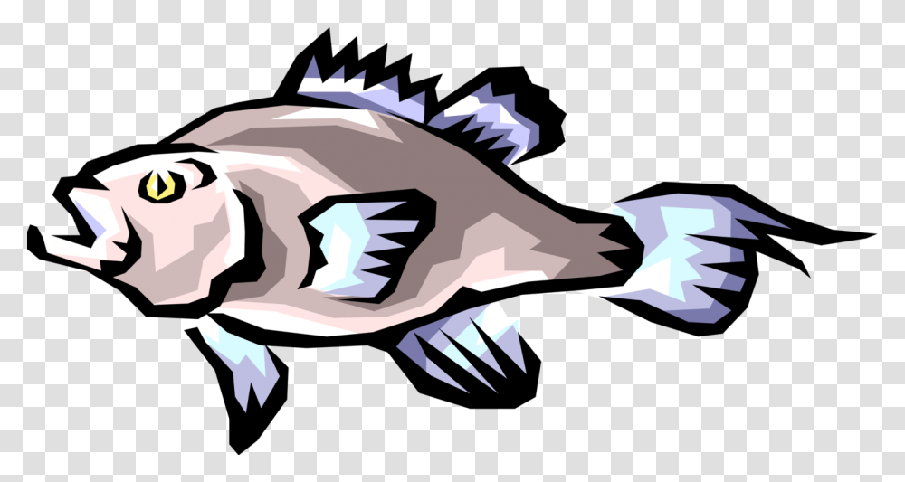 Vector Illustration Of Freshwater Gamefish Fish Paratenic Host, Animal, Sea Life, Mammal, Tuna Transparent Png