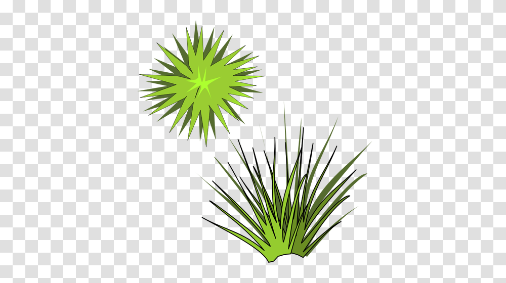 Vector Illustration Of Green Spiky Plant With Green Sun Above, Nature, Outdoors, Night, Fireworks Transparent Png