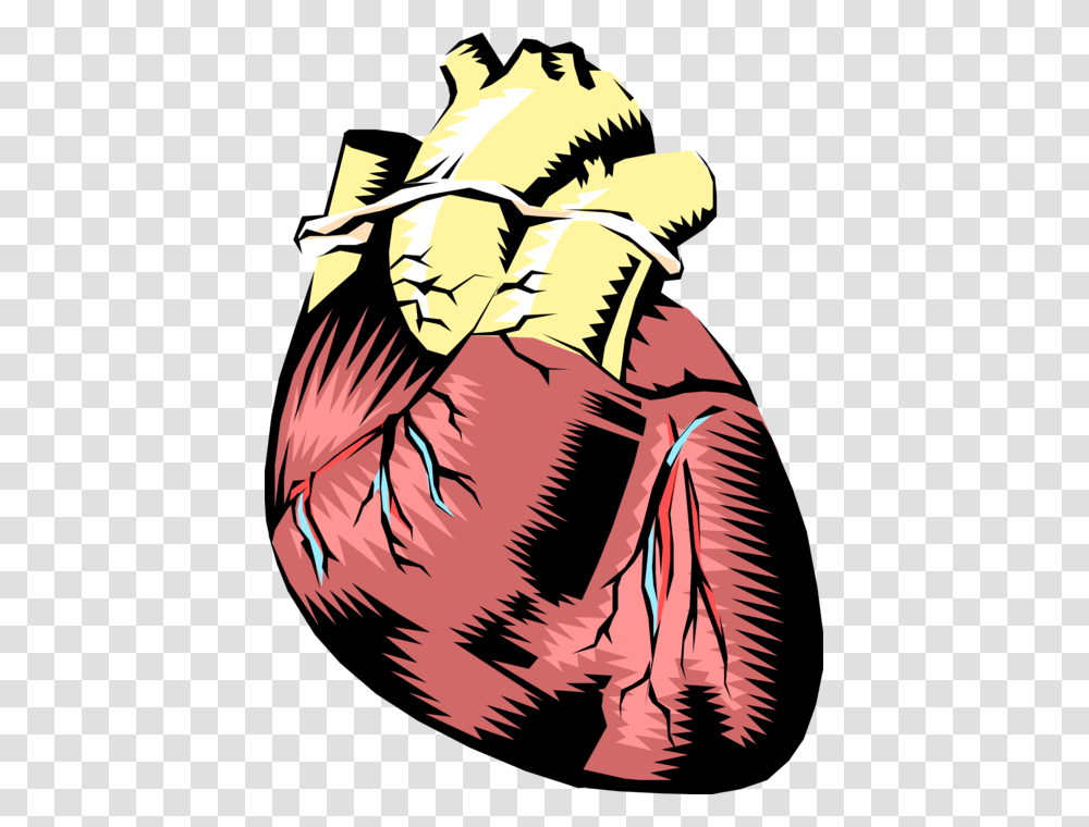 Vector Illustration Of Human Heart With Aorta Human Heart Not Labeled, Hand, Weapon, Weaponry, Book Transparent Png