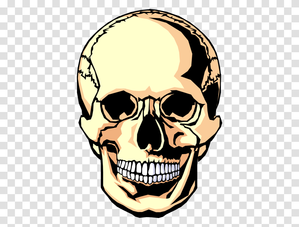Vector Illustration Of Human Skull Head Dia De Los Muertos Blank Skull, Face, Person, Skin, Sunglasses Transparent Png