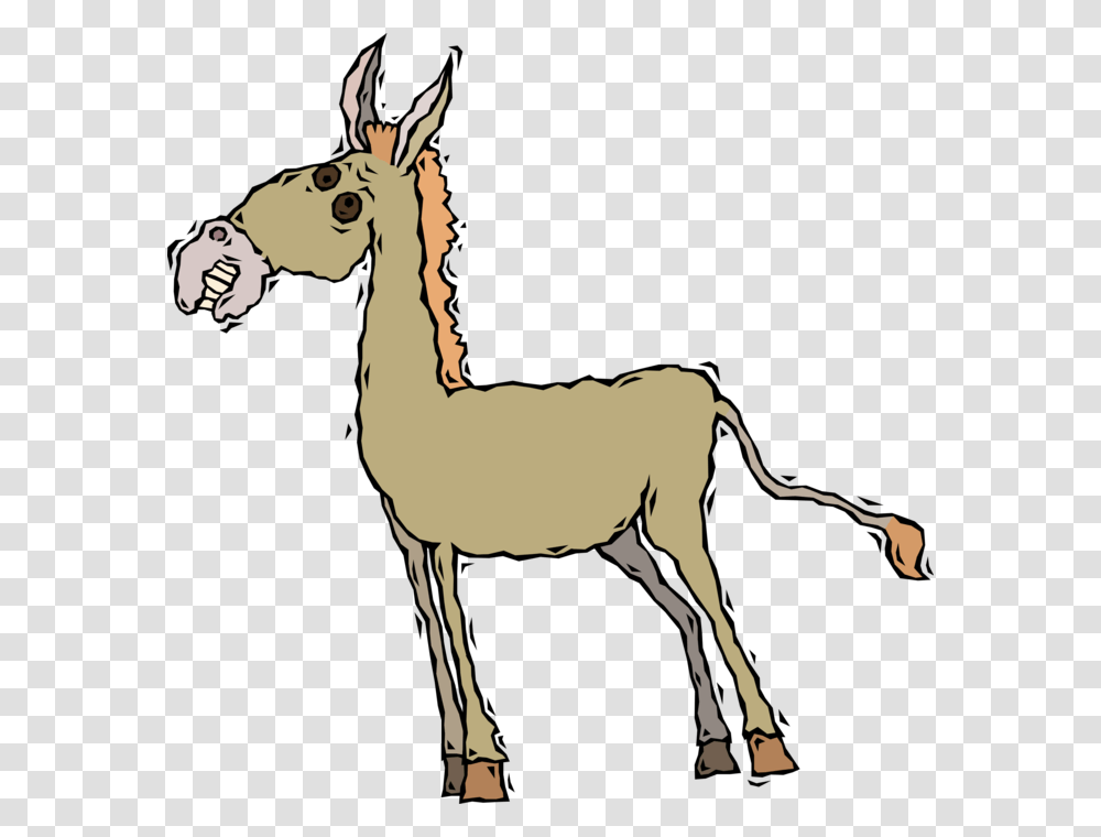 Vector Illustration Of Jackass Male Donkey Ass Domesticated, Mammal, Animal, Antelope, Wildlife Transparent Png