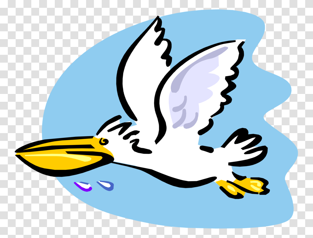 Vector Illustration Of Large Water Bird Pelican Flying Cartoon Pelican Flying, Animal, Eagle Transparent Png