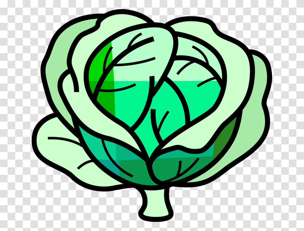 Vector Illustration Of Leafy Green Cabbage Edible Vegetable, Painting Transparent Png