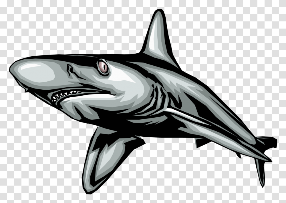 Vector Illustration Of Marine Predator Great White Movement Of Some Animals, Shark, Sea Life, Fish, Airplane Transparent Png
