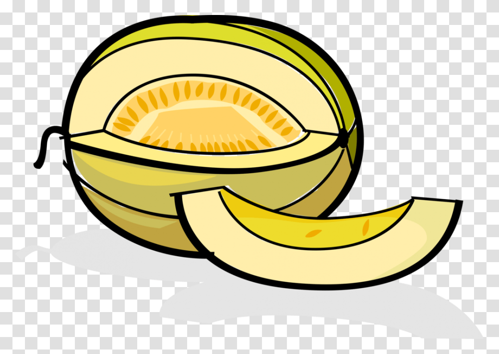 Vector Illustration Of Muskmelon Cultivar Honeydew Melon Clipart, Plant, Fruit, Food, Banana Transparent Png