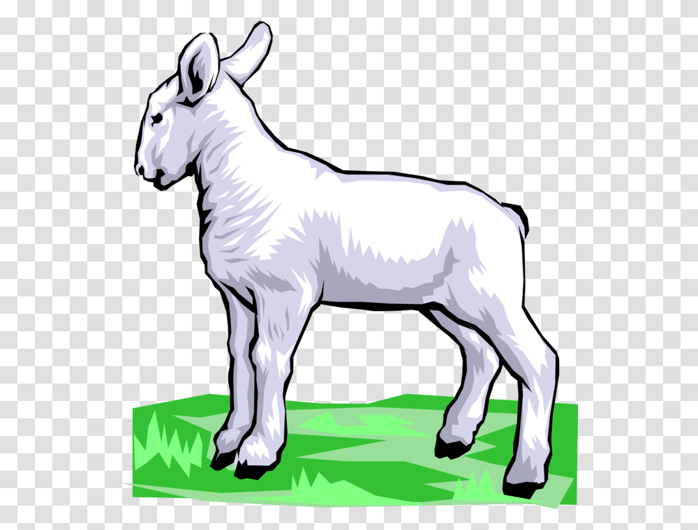 Vector Illustration Of Newborn Baby Lamb Sheep Standing, Mammal, Animal, Horse, Goat Transparent Png