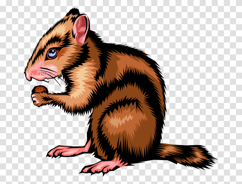 Vector Illustration Of North American Small Rodent Mouse, Bird, Animal, Mammal, Wildlife Transparent Png