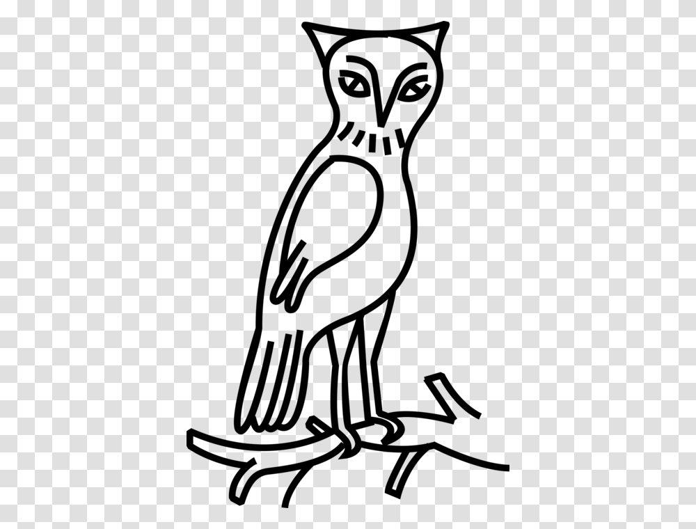 Vector Illustration Of Owl Nocturnal Bird Of Prey Stands Eastern Screech Owl, Gray, World Of Warcraft Transparent Png