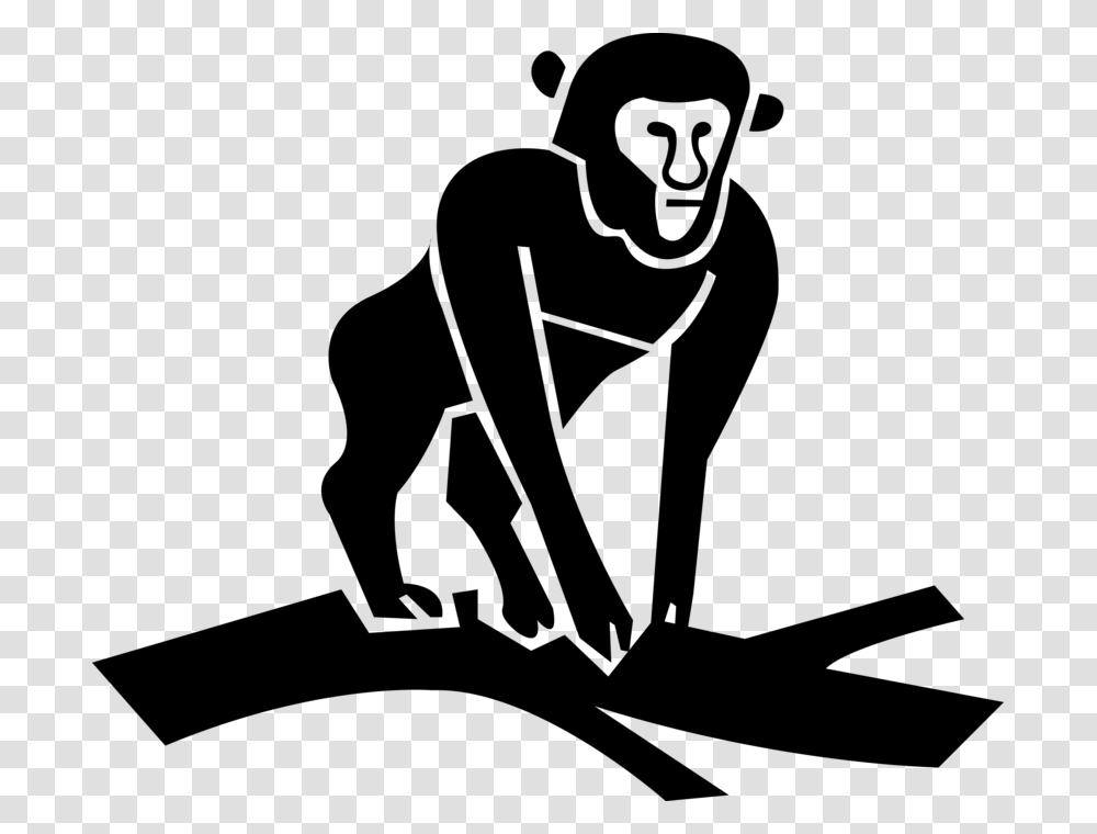 Vector Illustration Of Primate Monkey Ape On Tree Branch, Gray, World Of Warcraft Transparent Png