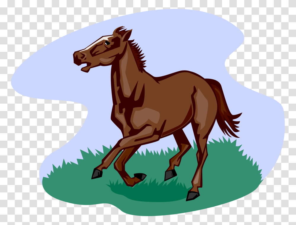 Vector Illustration Of Quadruped Equine Horse Running, Mammal, Animal, Foal, Colt Horse Transparent Png