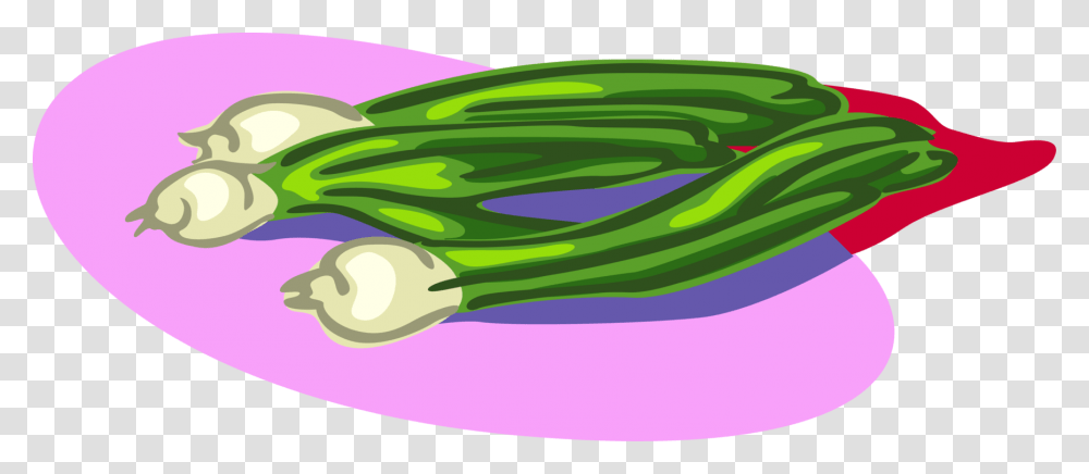 Vector Illustration Of Scallion Onion Shallot Vegetable Illustration, Plant, Produce, Food, Leek Transparent Png