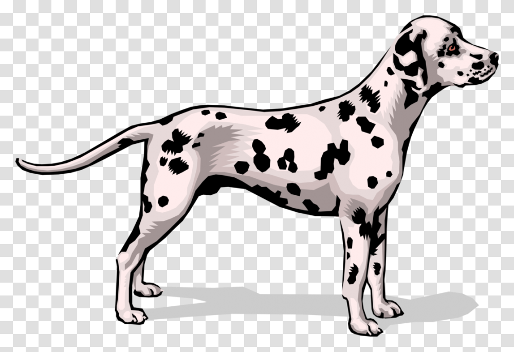 Vector Illustration Of Spotted Dalmatian Dog Stands Dalmatian, Pet, Animal, Canine, Mammal Transparent Png
