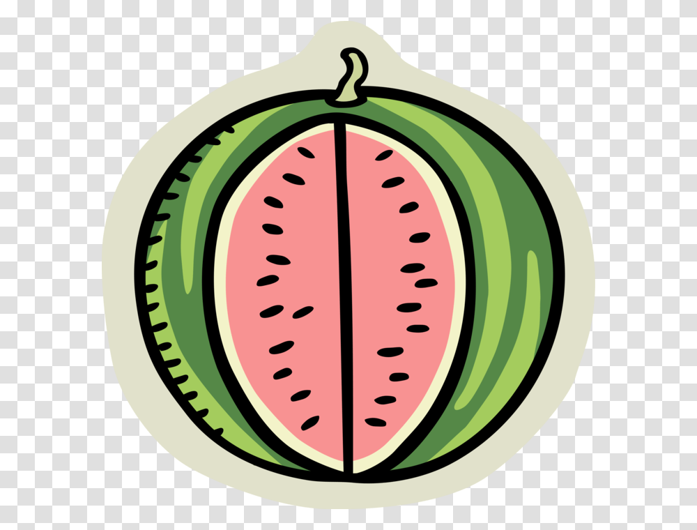 Vector Illustration Of Summer Melon Watermelon Edible Watermelon, Plant, Fruit, Food, Clock Tower Transparent Png