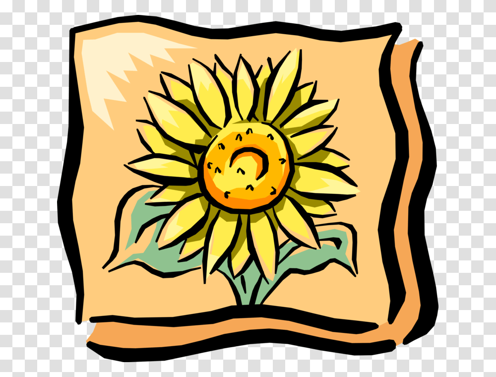 Vector Illustration Of Sunflower In Full Summer Bloom, Pillow, Cushion Transparent Png