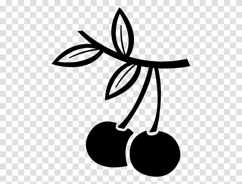 Vector Illustration Of Sweet Fruit Cherries On Branch, Gray, World Of Warcraft Transparent Png