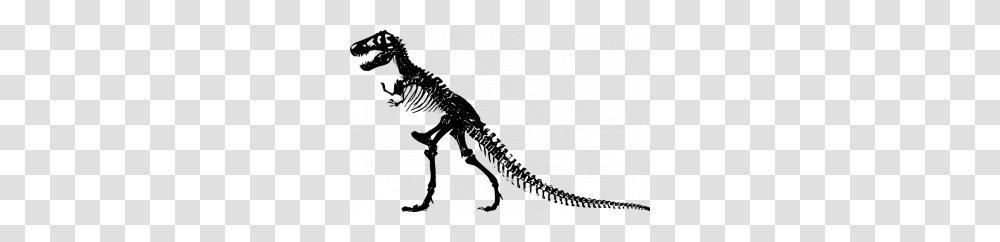 Vector Illustration Of The T Rex Growling, Gray, World Of Warcraft Transparent Png