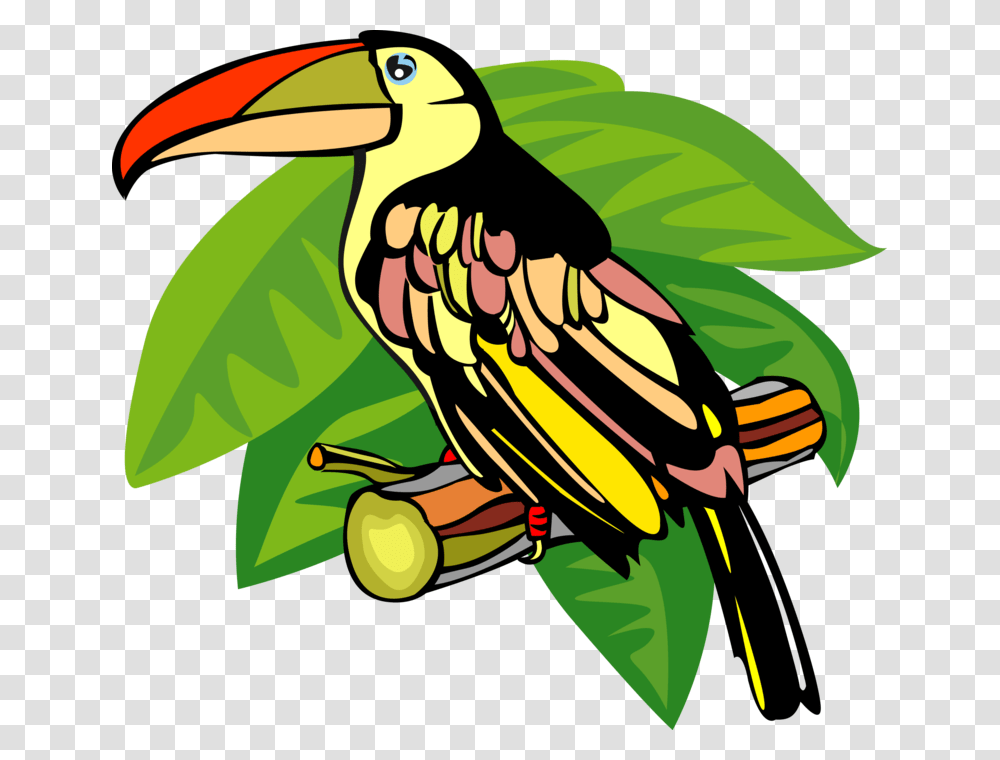 Vector Illustration Of Toucan Bird With Large Beak Toucan, Animal Transparent Png