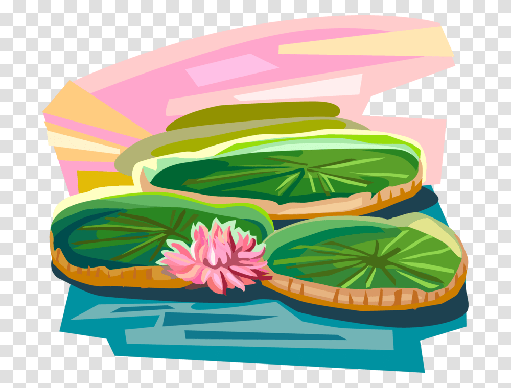 Vector Illustration Of Vitria Rgia Water Lilies Vitoria Regia, Plant, Meal, Food Transparent Png