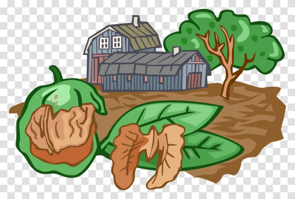 Vector Illustration Of Walnut Nut Farming With Barn, Nature, Building, Housing, Outdoors Transparent Png