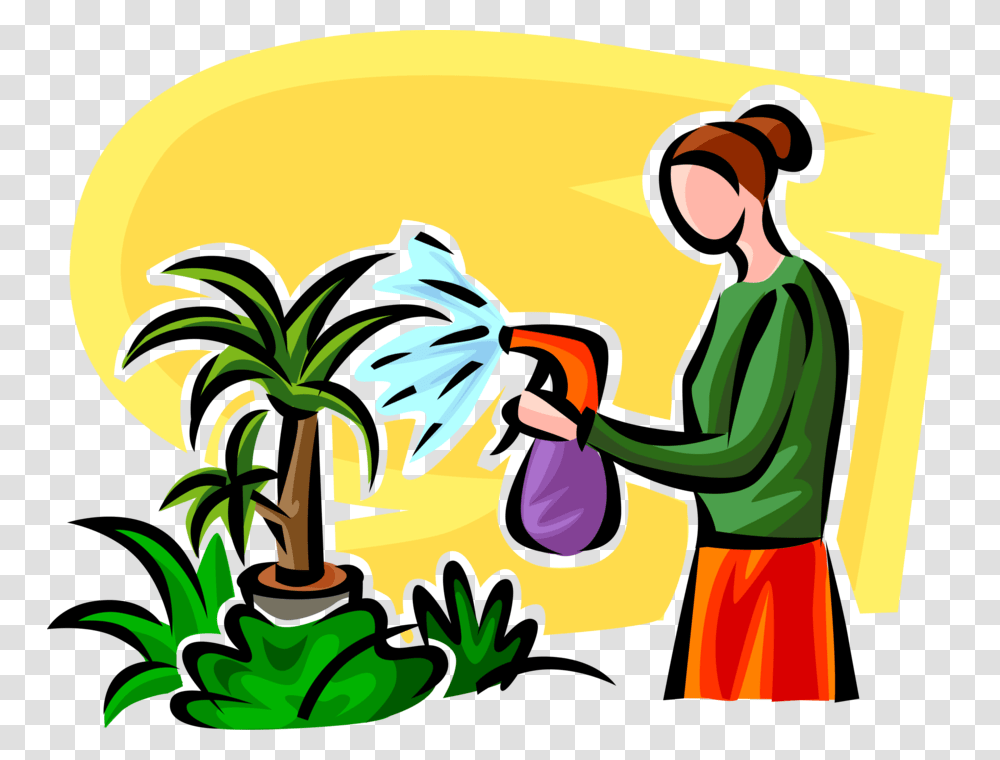 Vector Illustration Of Watering Houseplant Plants With Regando Plantas, Washing, Drawing Transparent Png