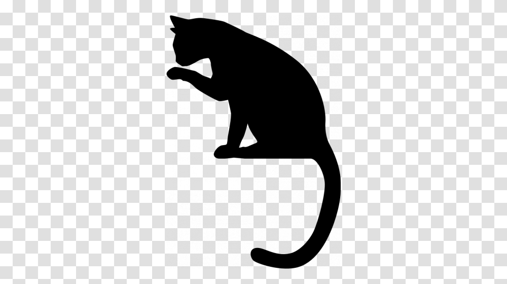 Vector Image Of Cat Licking Its Paw, Gray, World Of Warcraft Transparent Png