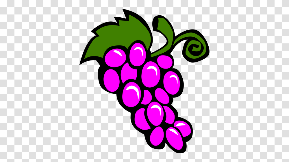 Vector Image Of Grapes, Plant, Fruit Transparent Png